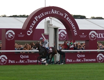 Trêve lors de sa victoire dans le Prix de l'Arc de Triomphe 2013