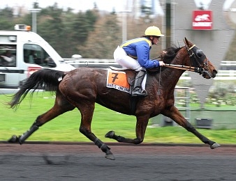 Trotting Race remporte le Prix Paul Bastard