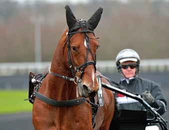 Twister Bi forfait dans le Grand Prix de Belgique