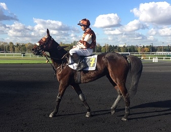 Ulka des Champs s'offre le Prix Reynolds