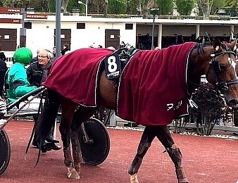 Un Mec d'Héripré reste sur un succès dans le Prix de Washington
