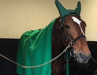 Un Mec d'Heripre s'impose dans le Prix de Washington ce samedi 2 juillet 2016 à Enghien
