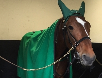 Un Mec d'Heripré sera au départ du Prix de Washington ce samedi 2 juillet à Enghien