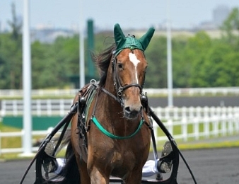 Un Mec d'Heripré sur la cendrée de Vincennes