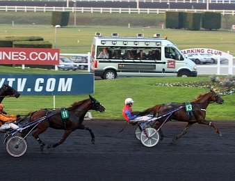 Uniclove, l'un des trois trotteurs de Th. Duvaldestin en lice pour le Critérium des 3 Ans
