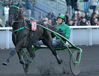 Univers de Pan n'a pas pu participer au Grand Prix d'Amérique