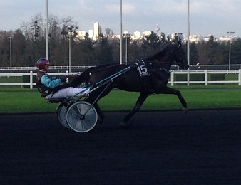 Up and Quick fait partie des favoris du Prix d'Amérique 2015