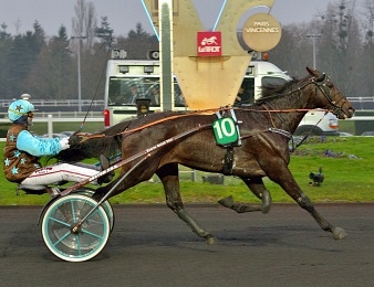 Up and Quick rejoint Bold Eagle et Timoko