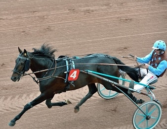 Up and Quick sera au départ du Grand Prix des Alpes-Maritimes à Cagnes-sur-Mer