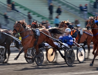 Uza Josselyn invitée pour l'Elitloppet