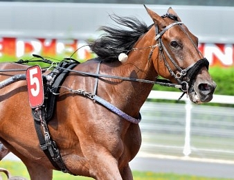 Uza Josselyn quitte la scène hippique