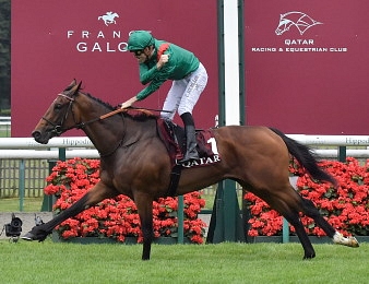 Vadeni lors de son sacre dans le Prix du Jockey Club