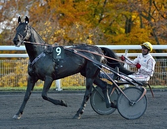 Valko Jenilat reste sur un succès dans le Prix du Bois de Vincennes