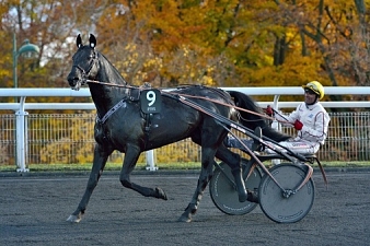 Valko Jenilat s'impose brillamment  dans le Prix du Bois de Vincennes