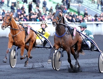Vanika du Ruel à la conquête d'un quatrième Groupe I