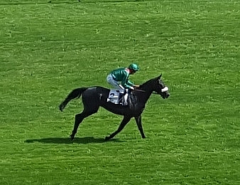 Vazirabad s'impose dans la Dubaï Gold Cup