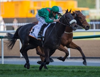 Vazirabad triple la mise dans la Dubai Gold Cup ce samedi 31 mars à Meydan