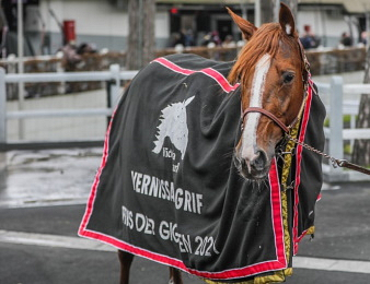 Vernissage Grif s'impose dans un Groupe 1 à Cagnes-sur-Mer ce dimanche 10 mars.