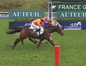 Victoire du gris Thousand Stars