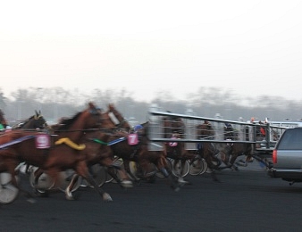 Victoire s'est qualifiée pour le Grand Prix d'Amérique 2014