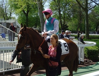 Vincent Cheminaud en selle sur New Bay