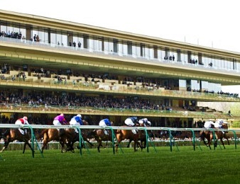 Vingt galopeurs participent au Quinté+  de ce jour