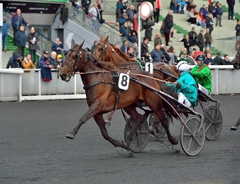 Violetto Jet remporte le Prix Chambon P