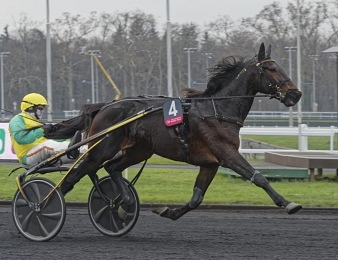 Vivid Wise As demeure invaincu à Cagnes-sur-Mer