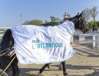 Vivid Wise As est le tenant du titre du Prix de l'Atlantique