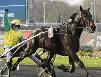 Vivid Wise As lors de sa victoire dans le Prix de France