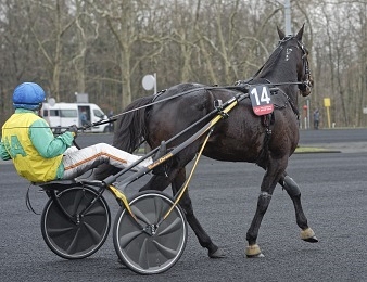 Vivid Wise As n'a pas fait de détail dans le Gran Premio Delle Nazioni