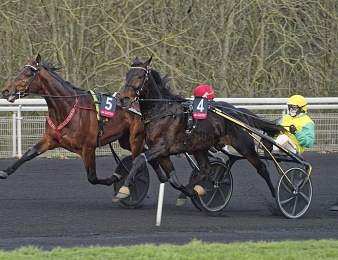 Vivid Wise As remet son titre en jeu dans le Prix de France Speed Race.