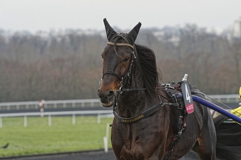 Vivid Wise As remporte un nouveau Groupe 1 à Cagnes-sur-Mer ce dimanche 14 mars.