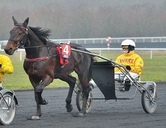 Vivid Wise As va tenter de briller dans le Prix de France