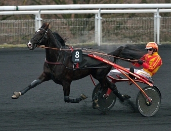 Voltigeur de Myrt rentre victorieusement sur l'hippodrome de Laval