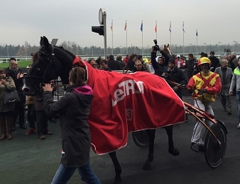 Voltigeur de Myrt reste sur une 2ème place dans le Prix d'Amérique