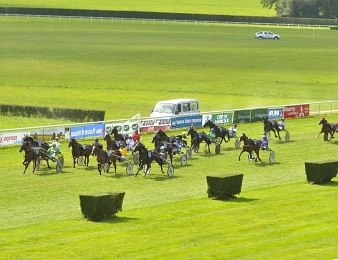 Vulcania de Godrel remporte la finale du Trophée Vert ce dimanche 3 septembre à Craon