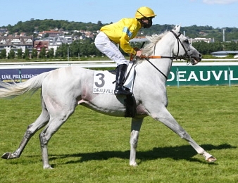 Way To Paris sera au départ de la Japan Cup ce dimanche 29 novembre.