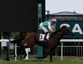 Westover triomphe facilement