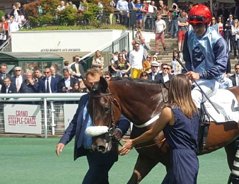 Whetstone demeure invaincue sur le steeple-chase