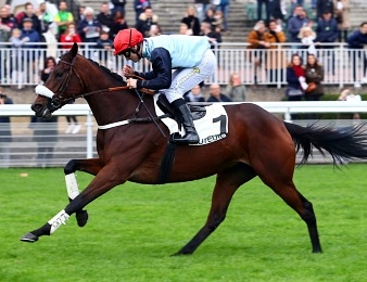 Whetstone termine troisième pour sa rentrée en haies à Auteuil