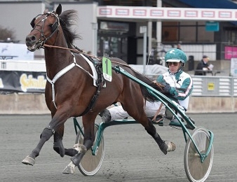Who's Who a remporté le Svenskt Travderby