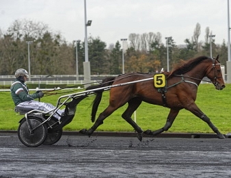 Who's Who remporte la Paralympiatravet ce samedi 7 mai à Aby.