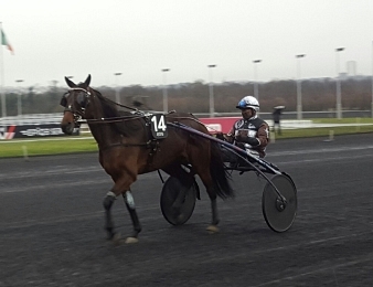 Wild Honey a fait ses premiers pas en France à l'occasion du Grand Prix de Belgique