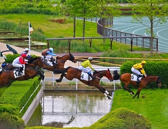 Wildriver s'impose dans le Prix Alain du Breil ce samedi 19 mai à Auteuil