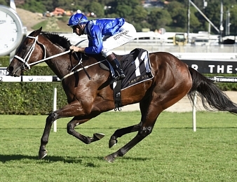 Winx rentre victorieusement et dépasse Black Caviar