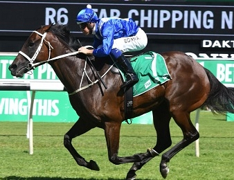Winx s'est imposée pour son avant-dernière sortie de sa carrière.