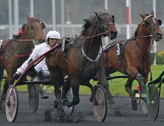 Yarrah Boko représente la Scandinavie dans le Grand Prix de Paris
