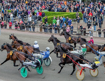 Your Highness s'impose dans la Copenhague Cup 2016