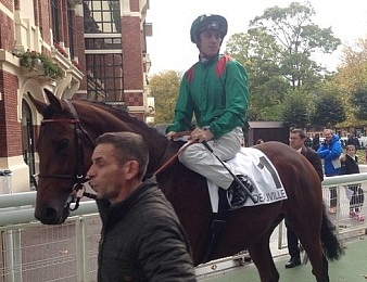 Zarak est le fils de la championne Zarkava